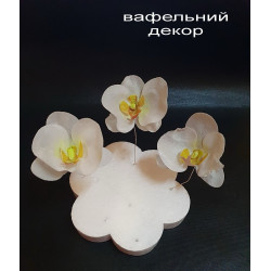 Вафельні  Орхідеї для декору 3 шт білі